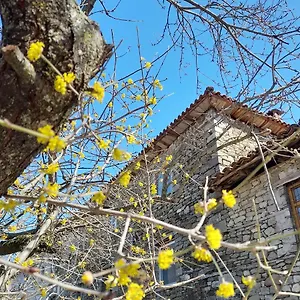  Gasthuis Bujtina Tusha Albanië